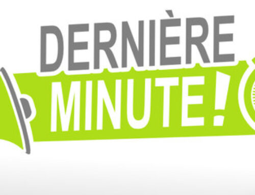 Recommandations de dernière minute